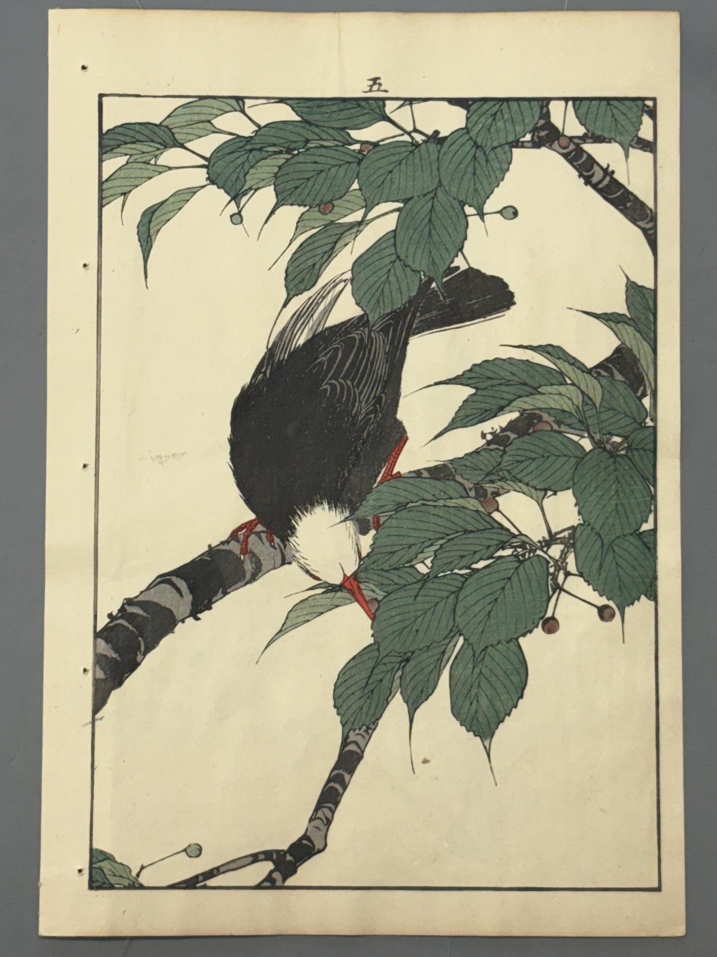 Japanese Antique Original Woodcut Print, 1892, Japanese Antique Original Woodcut Print, Imao Keinen, "Cherries, Chinese bulbul"