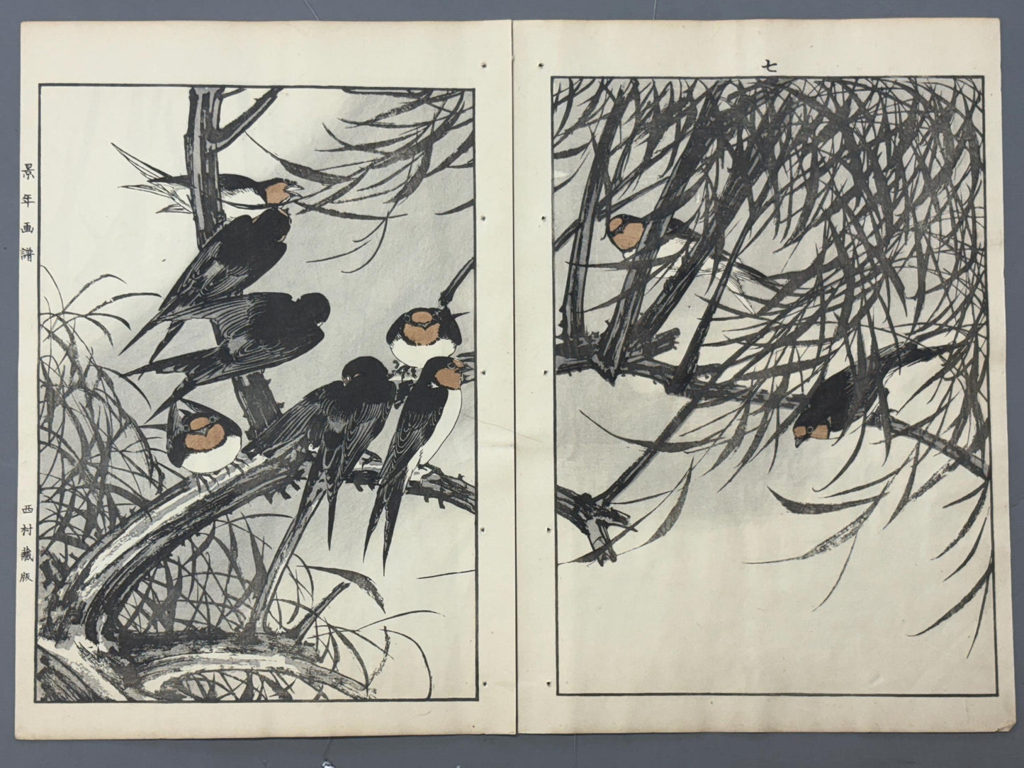 Japanese Antique Original Woodcut Print, 1892, Imao Keinen, "Willow, Swallow "
