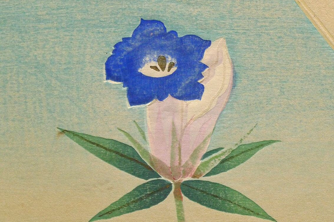 1932, Ukiyoe, Original Sōsaku-hanga, Woodblock print, Tobei Kamei, "Balloonflower"