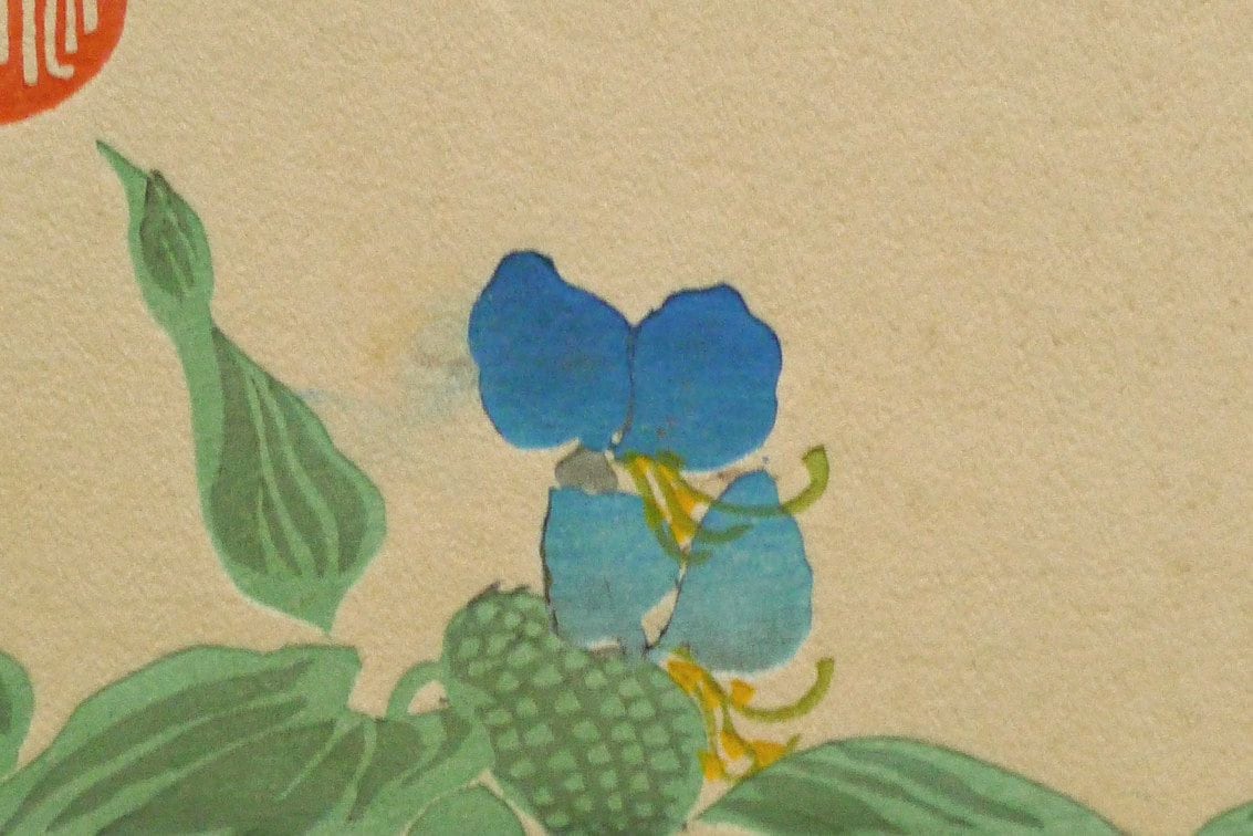 1932, Ukiyoe, Original Sōsaku-hanga, Woodblock print, Tomikichiro Tokuriki, "Trumpet creeper"