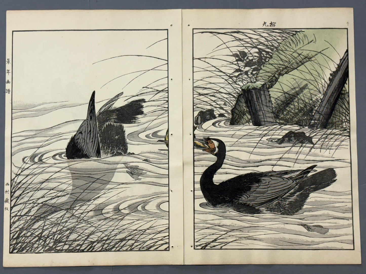 Japanese Antique Original Woodcut Print, Imao Keinen, "Clematis ternifora, Thatch, Cormorant"