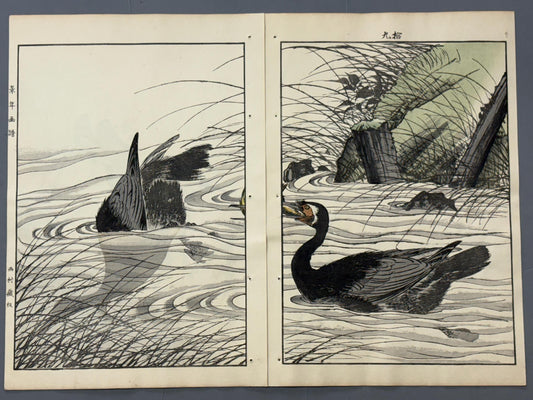 Japanese Antique Original Woodcut Print, Imao Keinen, "Clematis ternifora, Thatch, Cormorant"
