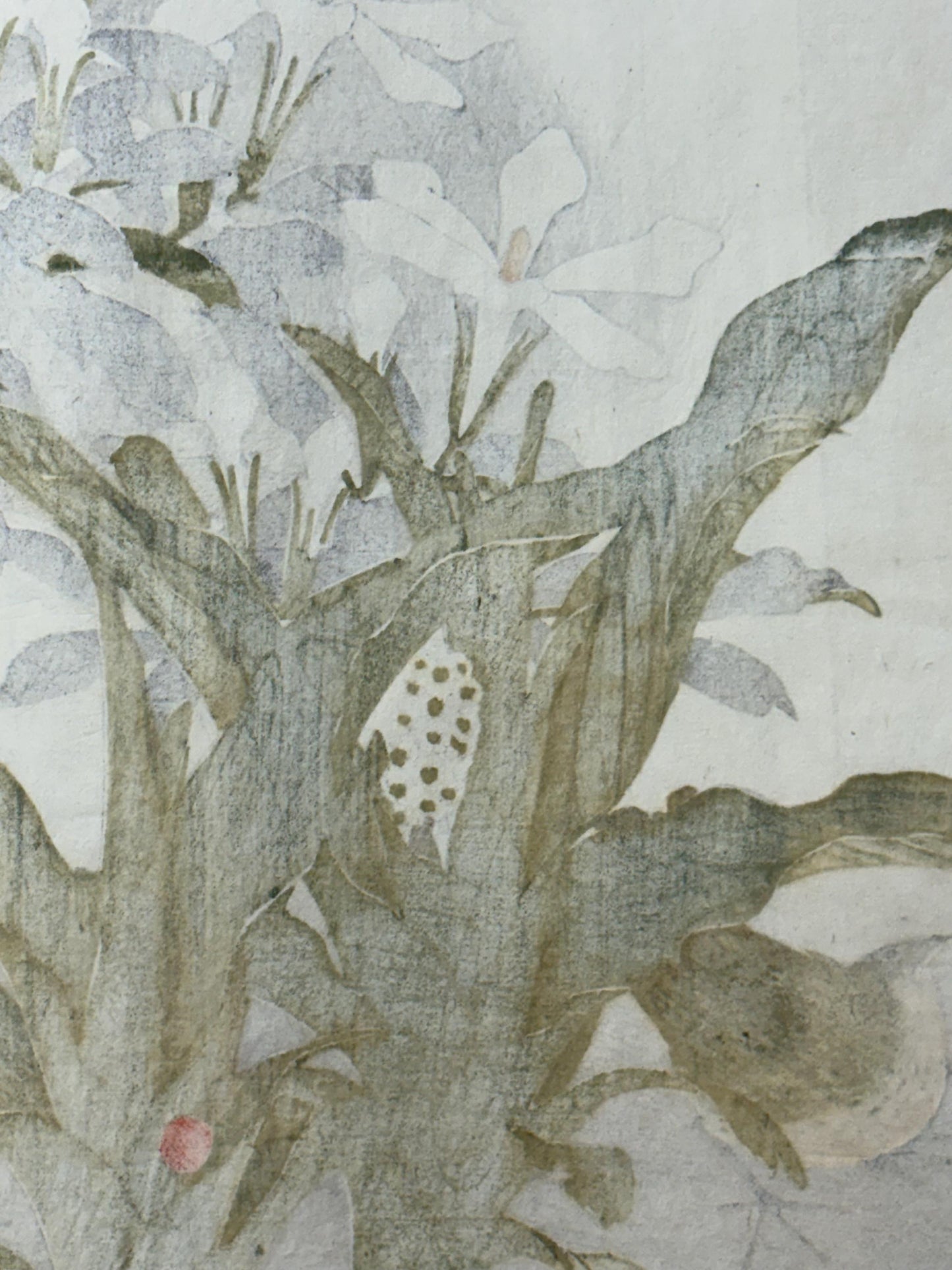 Japanese Antique Original Woodcut Print, 1892, Imao Keinen, "Common gardenia, Rohdea, Gray bunting"