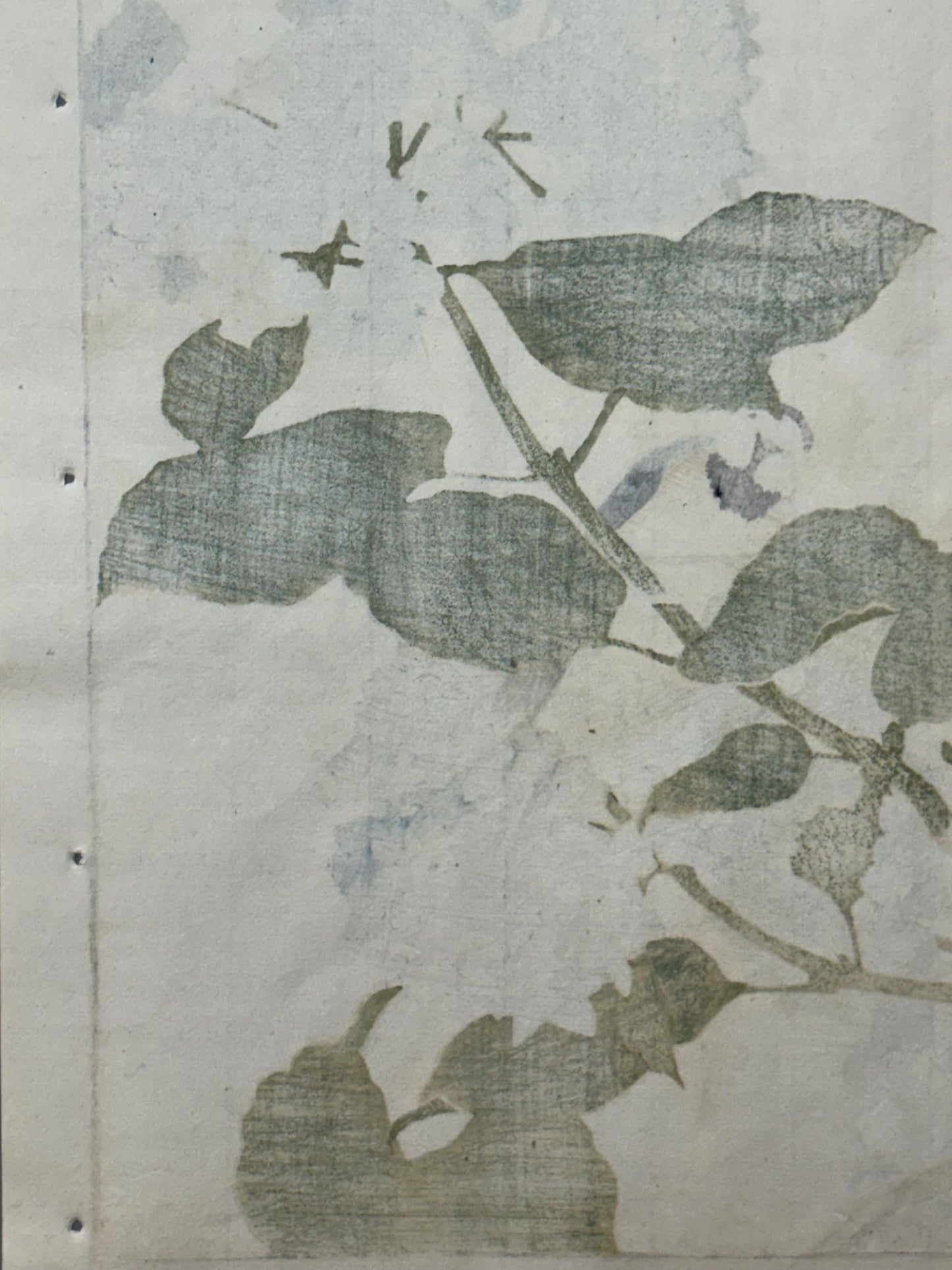 Japanese Antique Original Woodcut Print, 1892, Imao Keinen, "Hydrangea, Aizenkara"