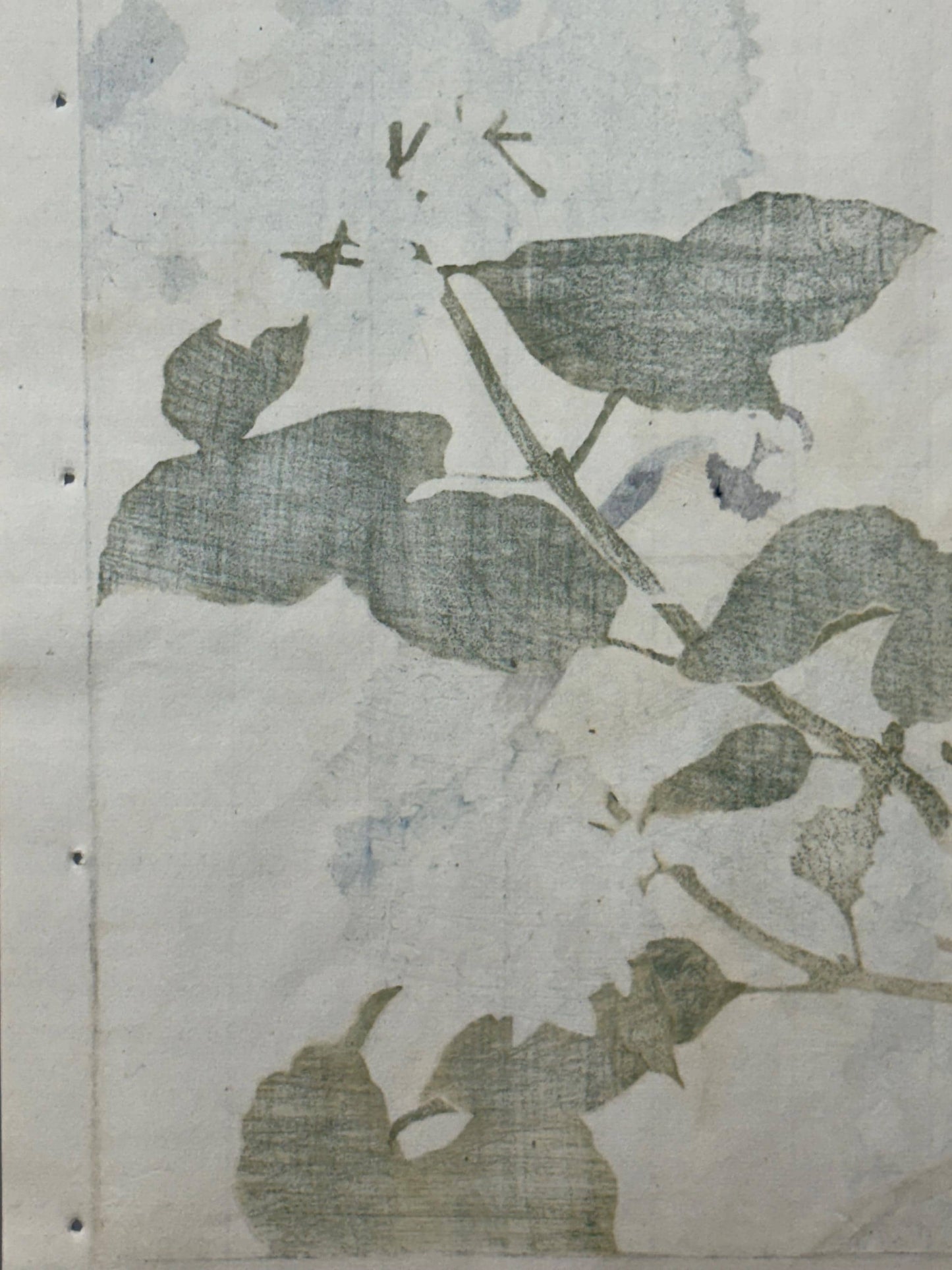 Japanese Antique Original Woodcut Print, 1892, Imao Keinen, "Hydrangea, Aizenkara"