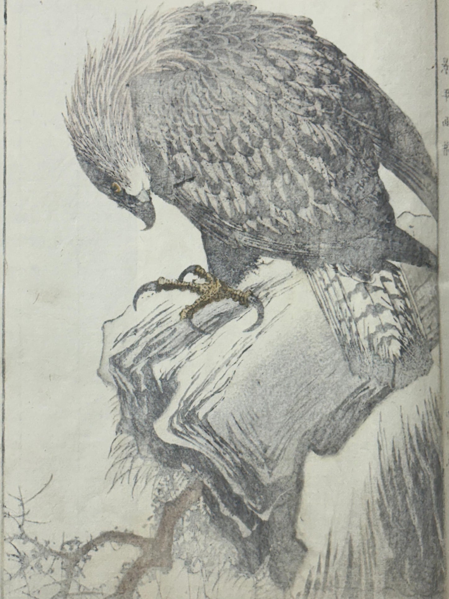 Japanese antique woodcut print, 1892, Imao Keinen, "Dead tree, Steep, Golden eagle"
