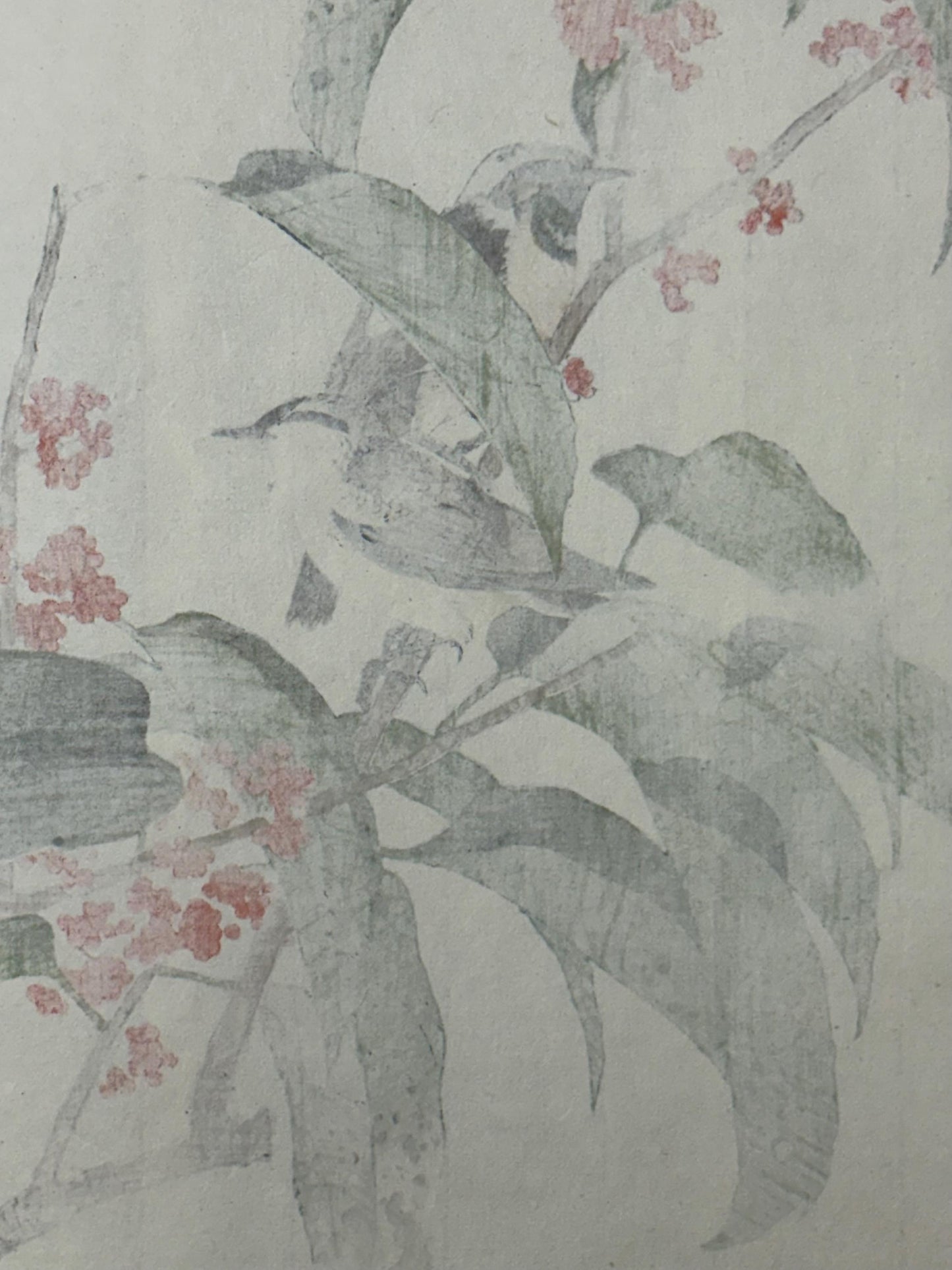 Japanese Antique Original Woodcut Print, 1892, Imao Keinen, "Tamamizuki, Ryukyu's chats"