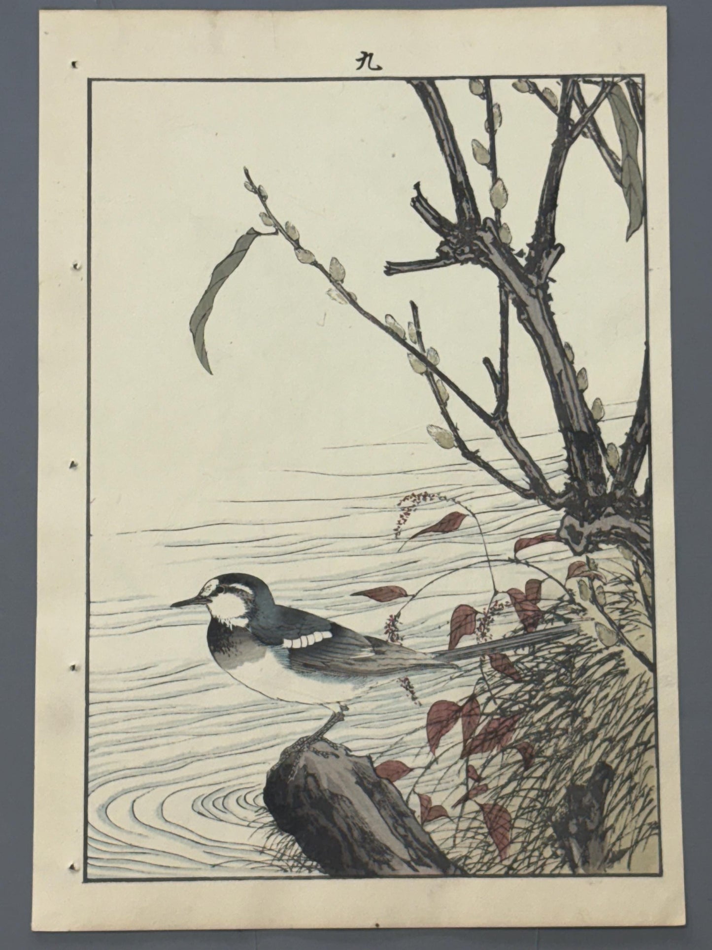 1892,Japanese Antique Original Woodcut Print, Imao Keinen, "Riverside willow, Wagtail"