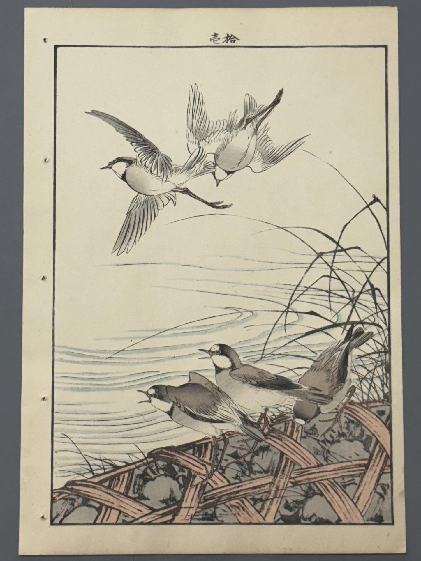 Japanese Antique Original Woodcut Print, Imao Keinen, "Thatch, River plover"