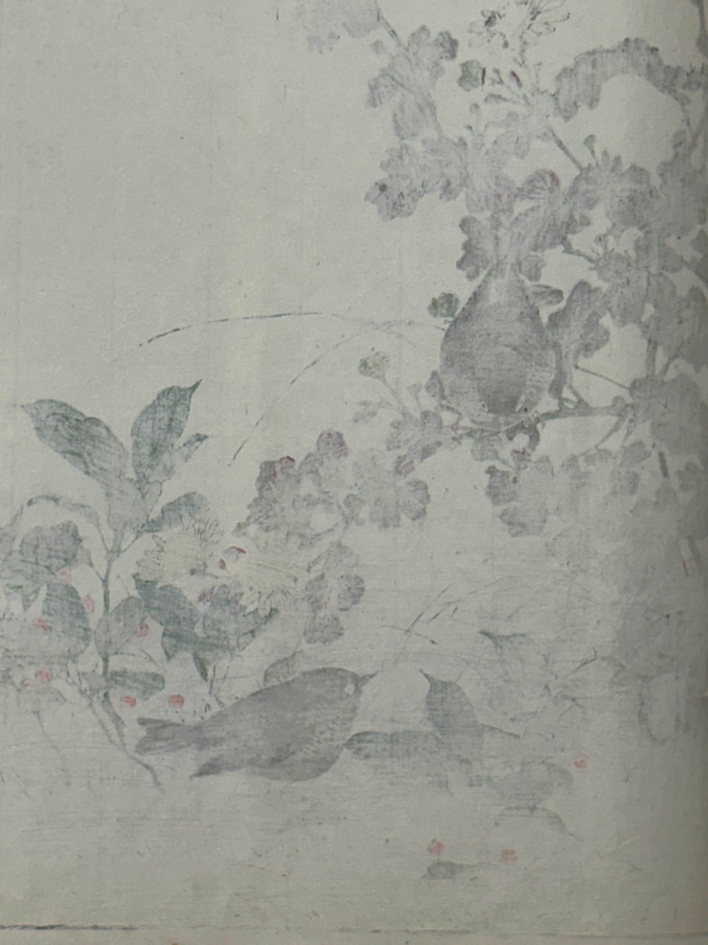 Japanese Antique Original Woodcut Print, Imao Keinen, "Winter chrysanthemum, Ardisia japonica, Eurasian Wren"