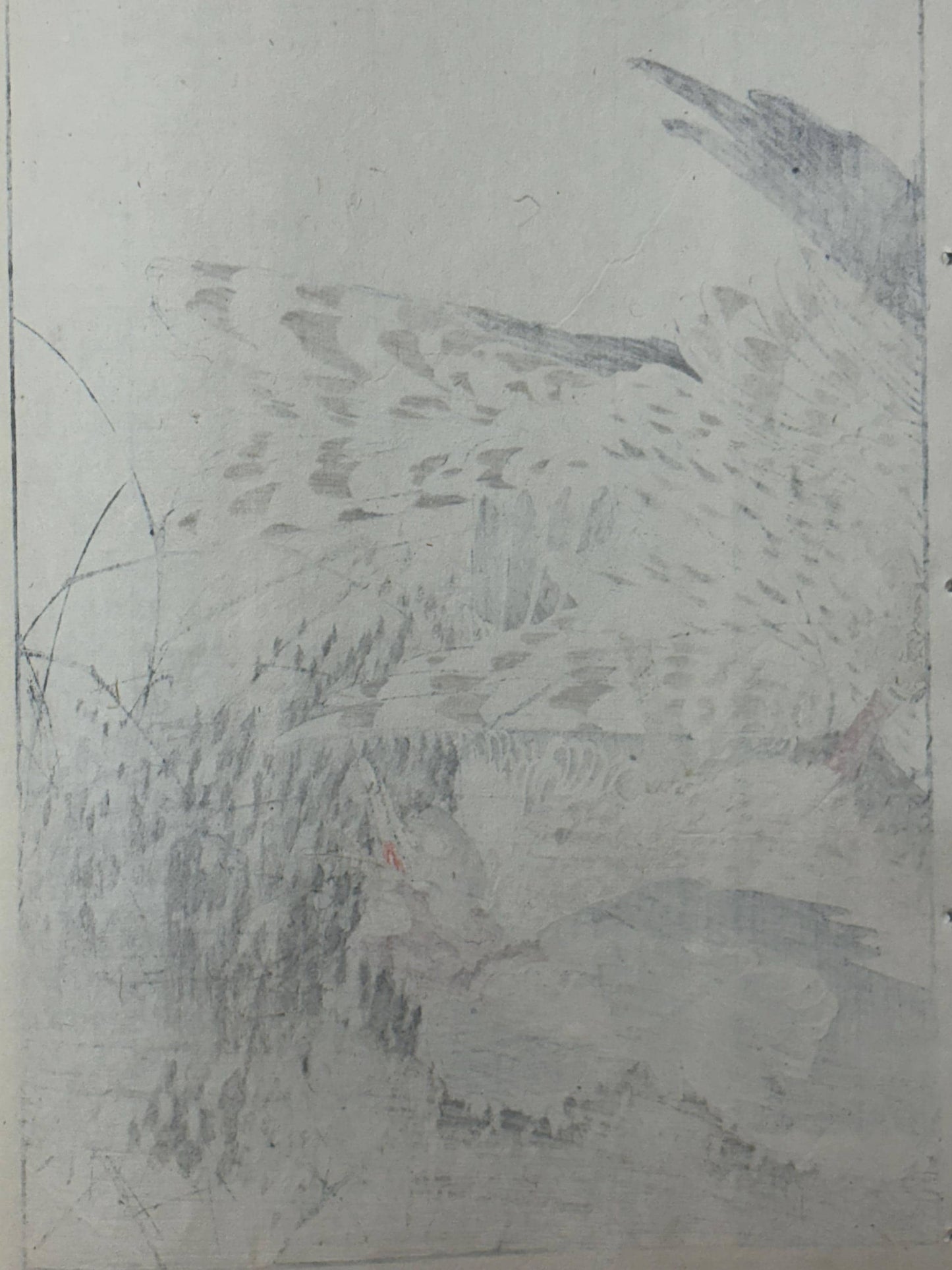 Japanese Antique Original Woodcut Print, Imao Keinen, "Themeda triandra var. japonica, Hawk, Duck"