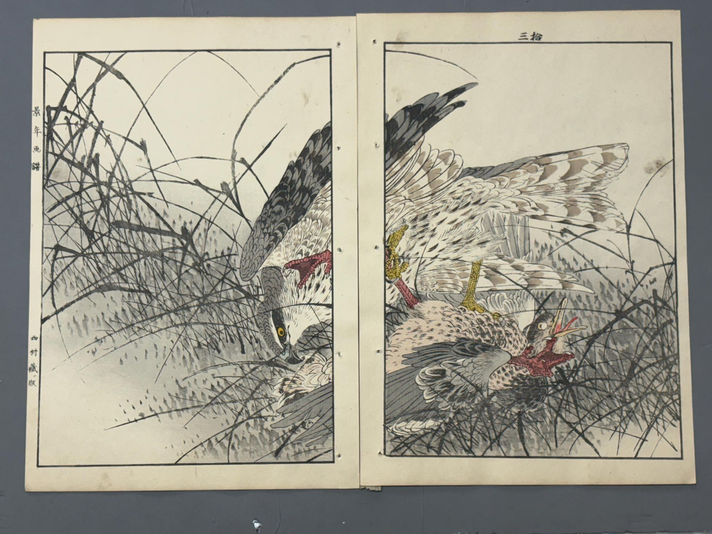 1892,Japanese Antique Original Woodcut Print, Imao Keinen, "Themeda triandra var. japonica, Hawk, Duck"