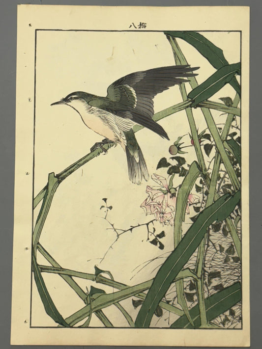Japanese Antique Original Woodcut Print, 1892, Imao Keinen, "Common reed, Chinese rose, Oriental reed warbler"