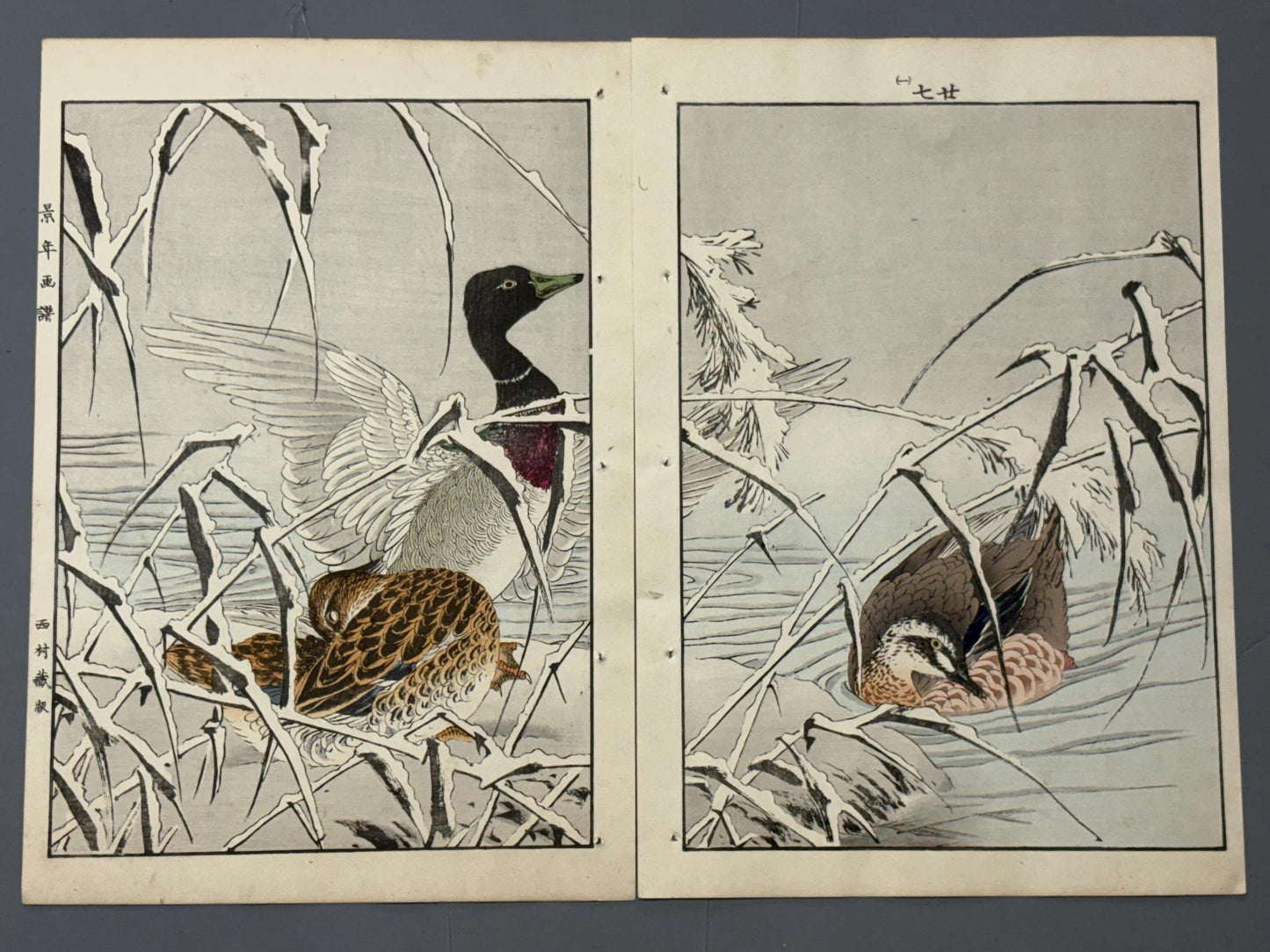 1892, Japanese Original Woodcut Print, Imao Keinen, "Reed, Duck"