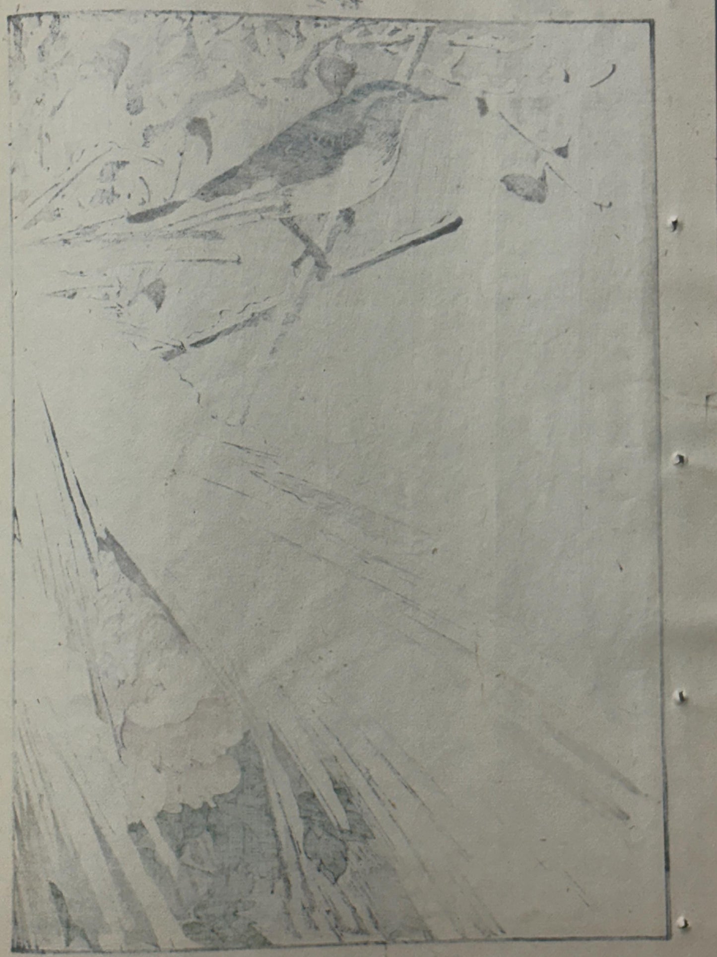 Japanese antique woodcut print, 1892, Imao Keinen, "Kanbotan, Flycatchers in snow"