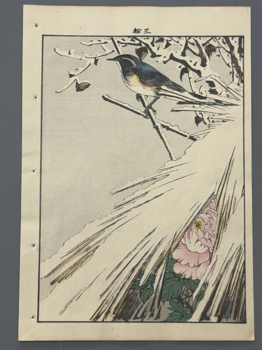 Japanese antique woodcut print, 1892, Imao Keinen, "Kanbotan, Flycatchers in snow"