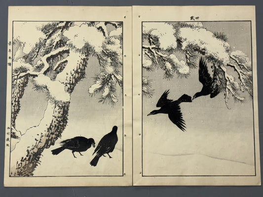 Japanse antique woodcut print, 1892, Imao Keinen, "Pine, Crow"