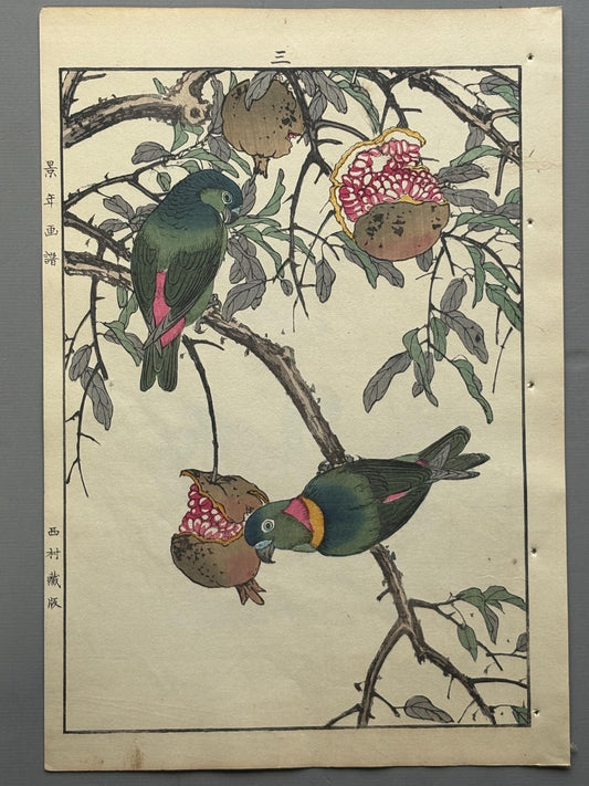 Japanese antique woodcut print, 1892, Imao Keinen, "Pomegranate, Blue-crowned hanging parrot"