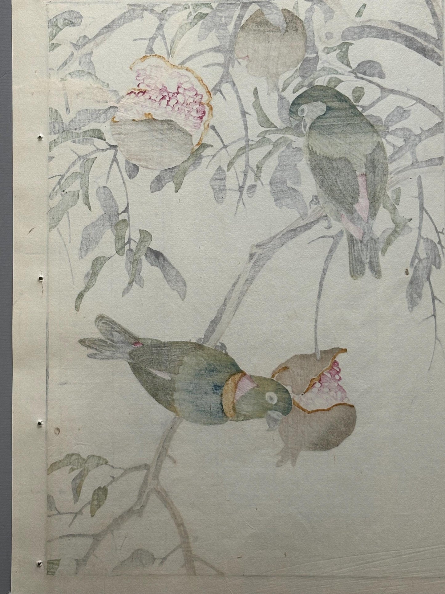 Japanese antique woodcut print, 1892, Imao Keinen, "Pomegranate, Blue-crowned hanging parrot"