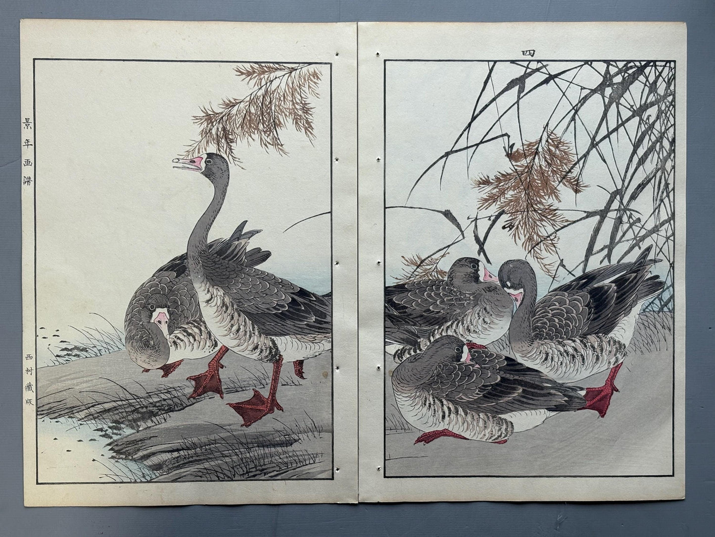 Japanese antique woodcut print, 1892, Imao Keinen, "Common reed, Goose"
