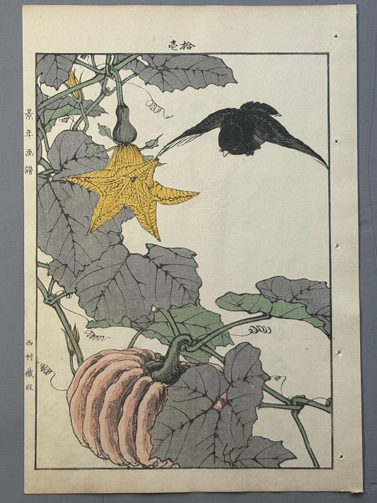Japanese Antique Original Woodcut Print, Imao Keinen, "Pumpkin, Blackbird"