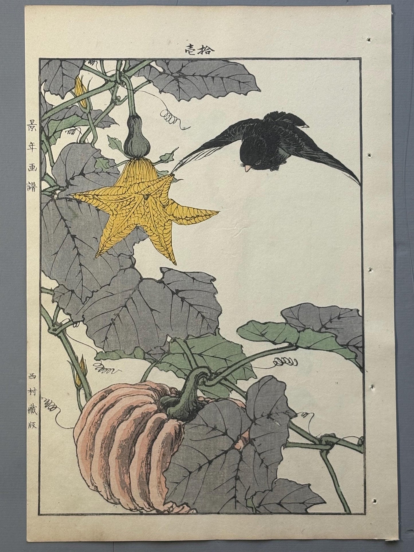 1892,Japanese Antique Original Woodcut Print, Imao Keinen, "Pumpkin, Blackbird"