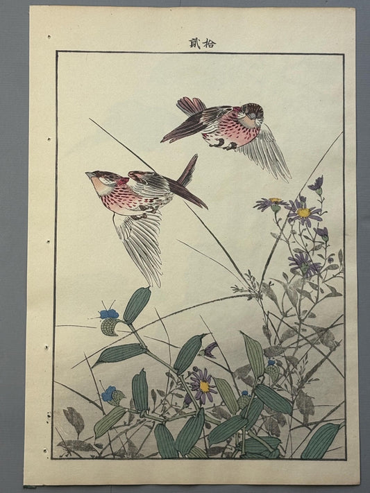 Japanese antique woodcut print, 1892, Imao Keinen, "Wild chrysanthemum, Commelina communis var. hortensis, Rustic bunting"