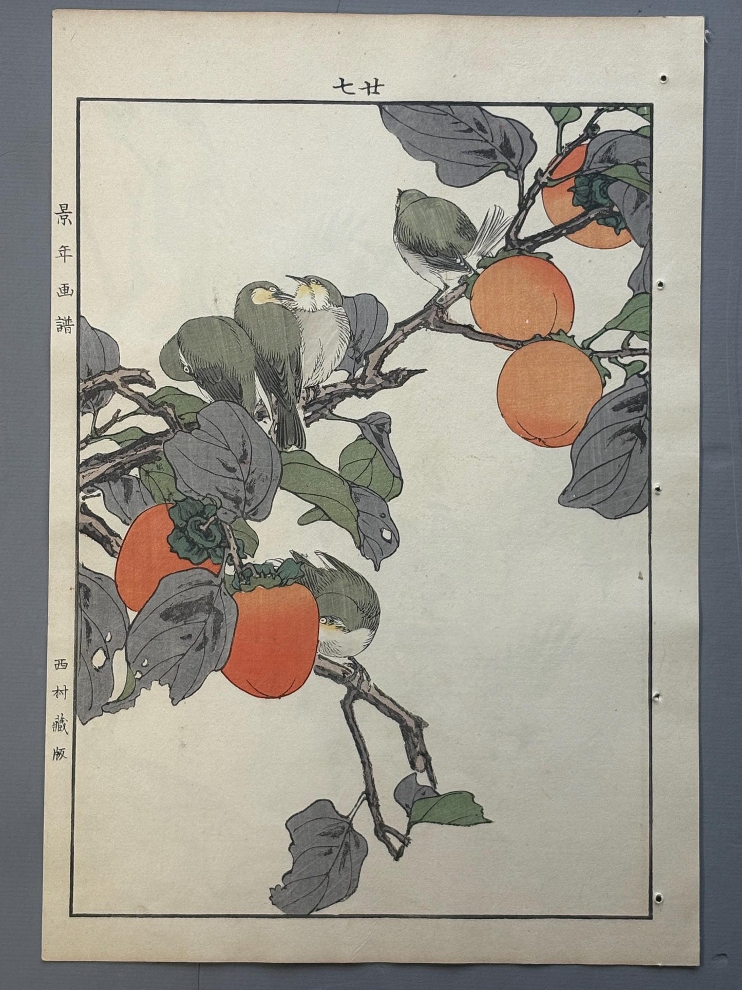 Japanese antique woodcut print, 1892, Imao Keinen, "Persimmon, White-eyes"