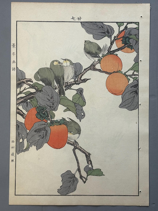 Japanese antique woodcut print, 1892, Imao Keinen, "Persimmon, White-eyes"