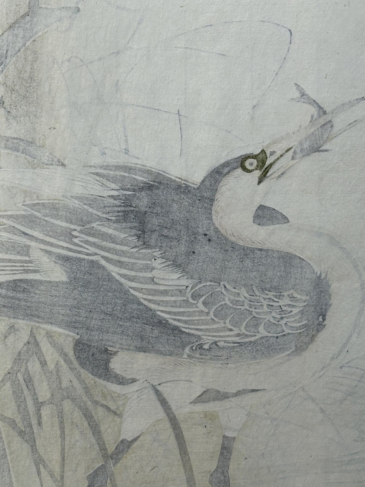 Japanese antique woodcut print, 1892, Imao Keinen, "Willow, Gray heron"