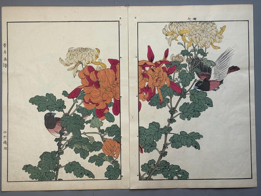 Japanese antique woodcut print, 1892, Imao Keinen, "Chrysanthemum, Jinkōchō"