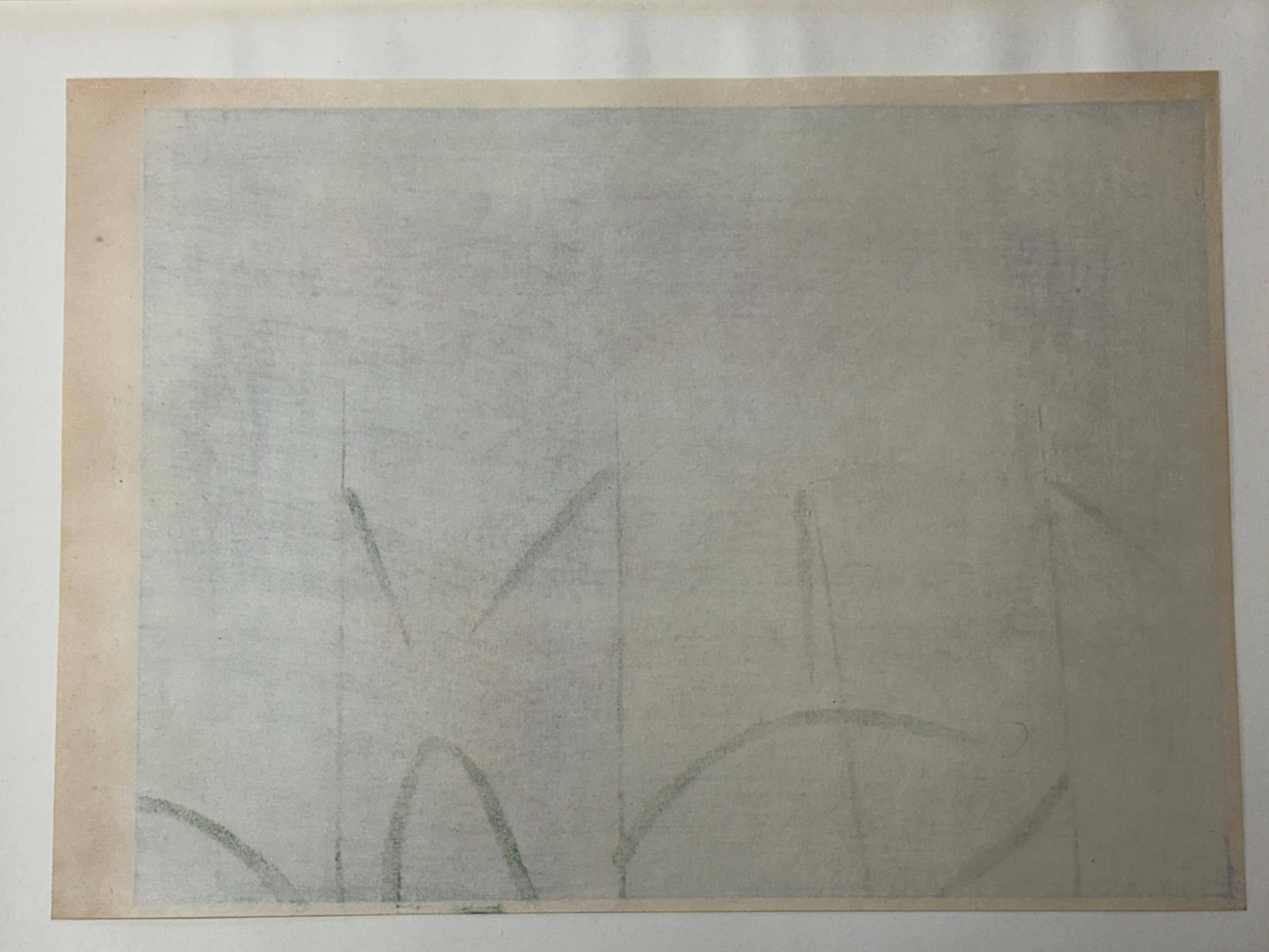 Japanese art, Large size, Tokuoka Shinsen, Japanese pampas grass.