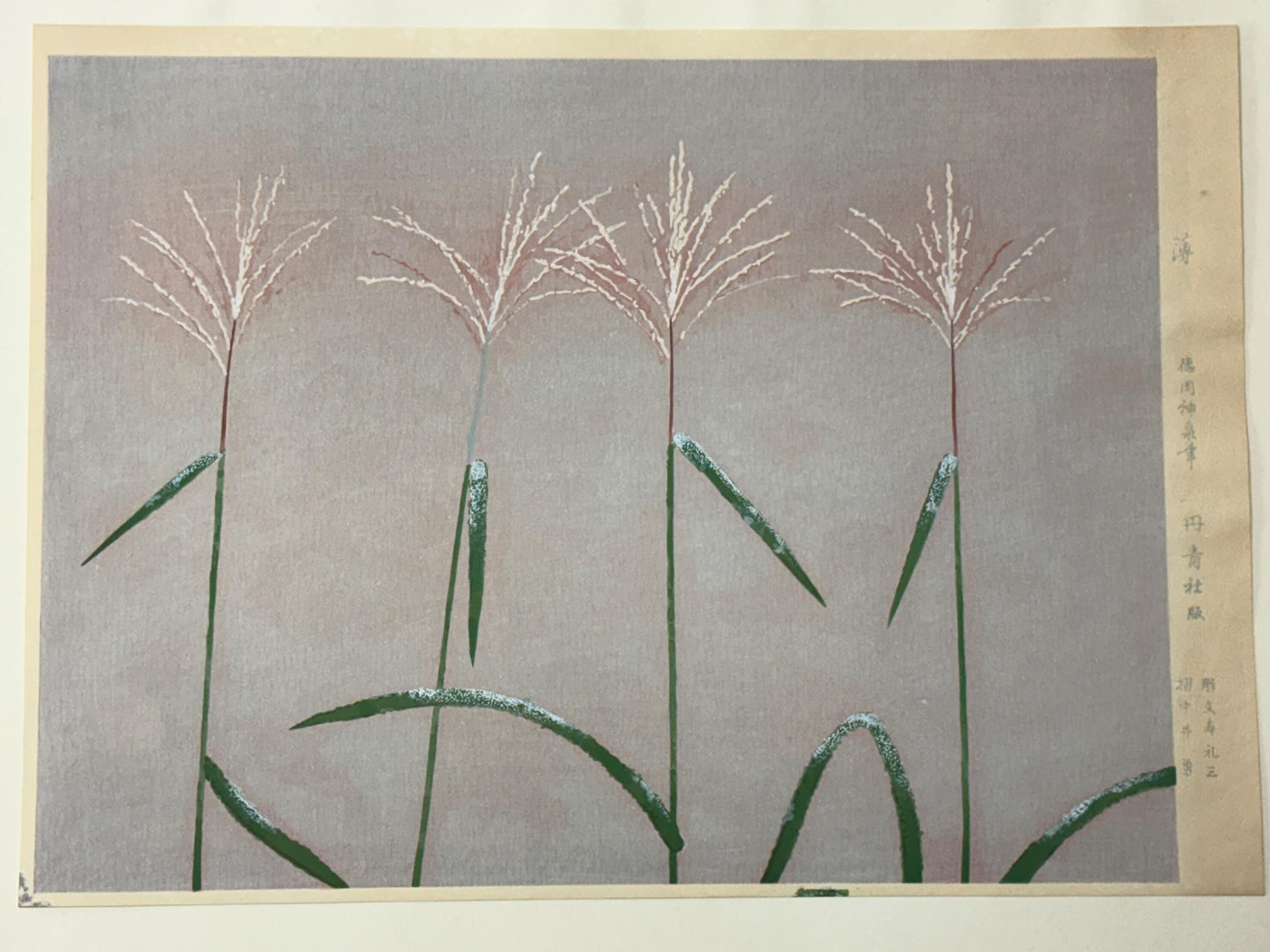Japanese art, Large size, Tokuoka Shinsen, Japanese pampas grass.