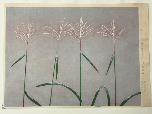 Japanese art, Large size, Tokuoka Shinsen, Japanese pampas grass.