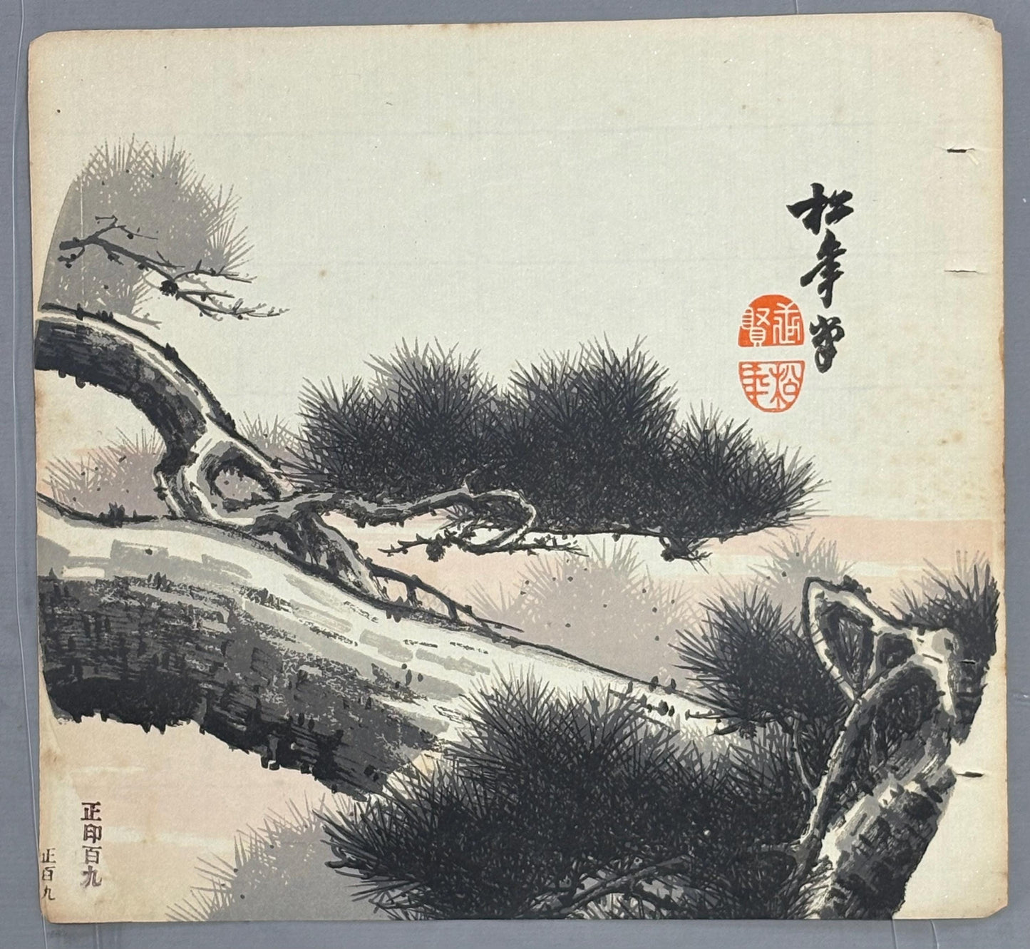 Japanese antique design, lithographic print, around a hundred years ago, Suzuki Shonen, "pine".