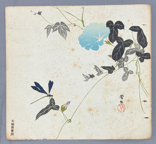 Japanese antique design, lithographic print, around a hundred years ago, Hobun, "morning glory".