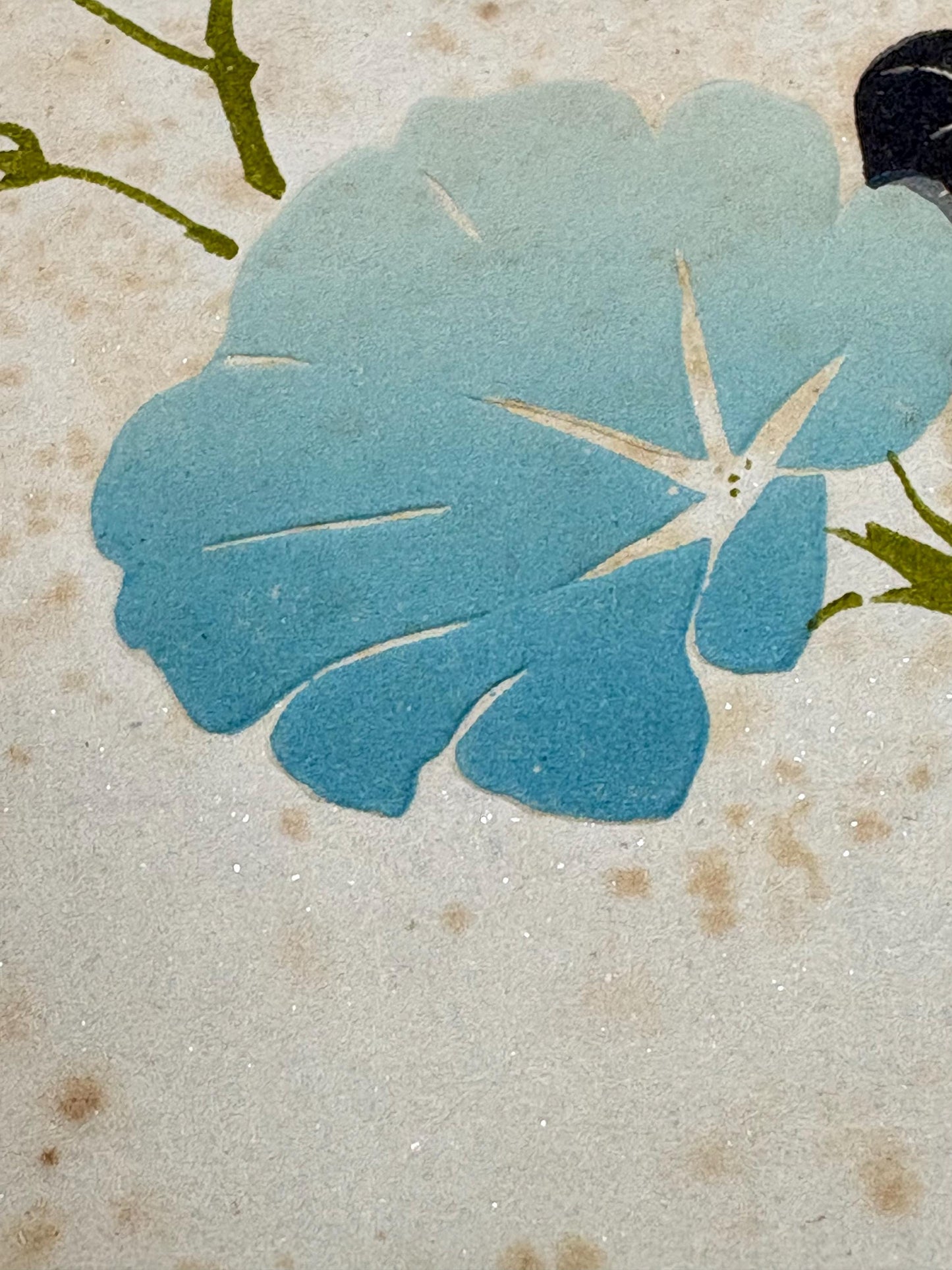 Japanese antique design, lithographic print, around a hundred years ago, Hobun, "morning glory".