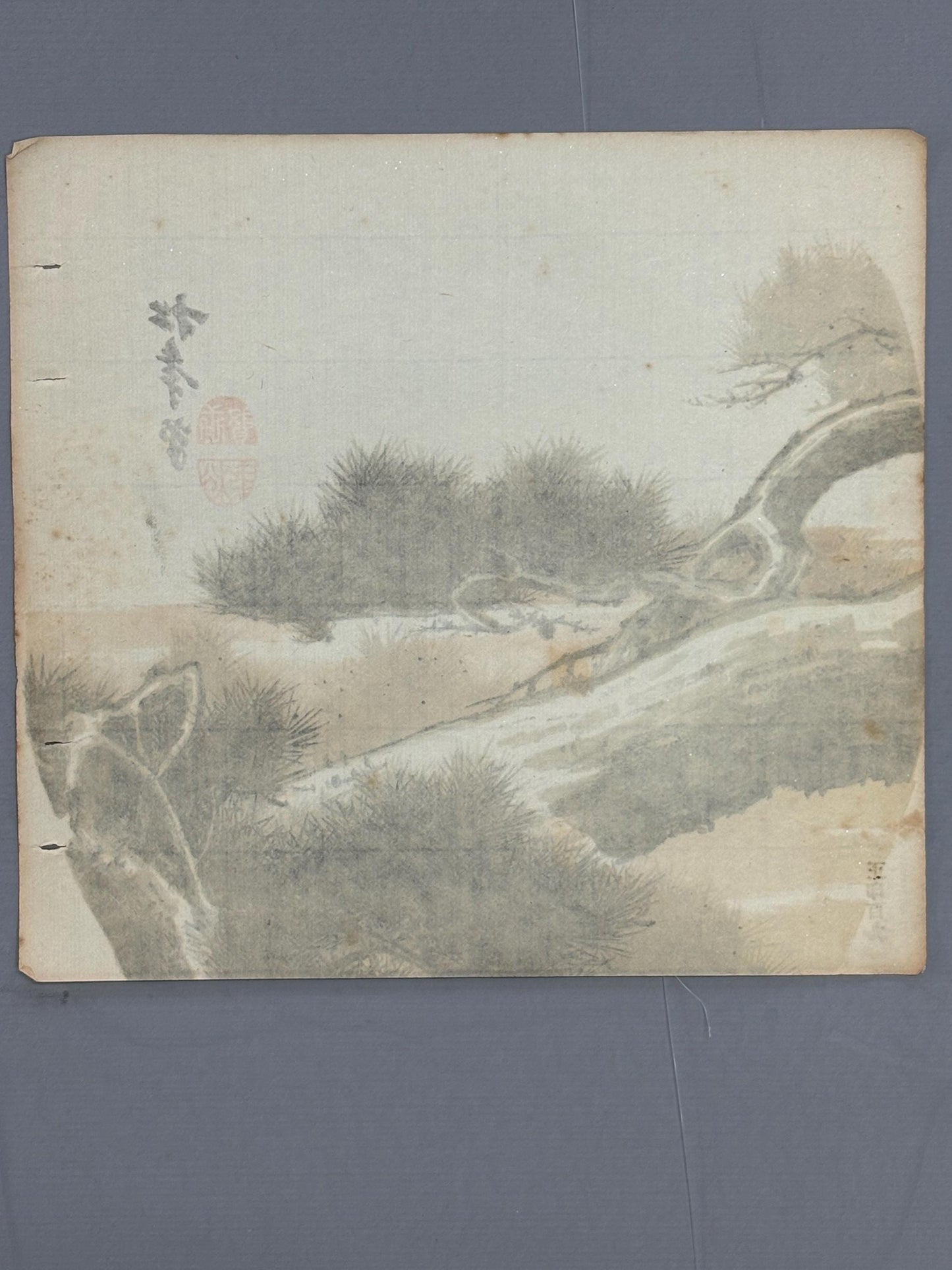 Japanese antique design, lithographic print, around a hundred years ago, Suzuki Shonen, "pine".