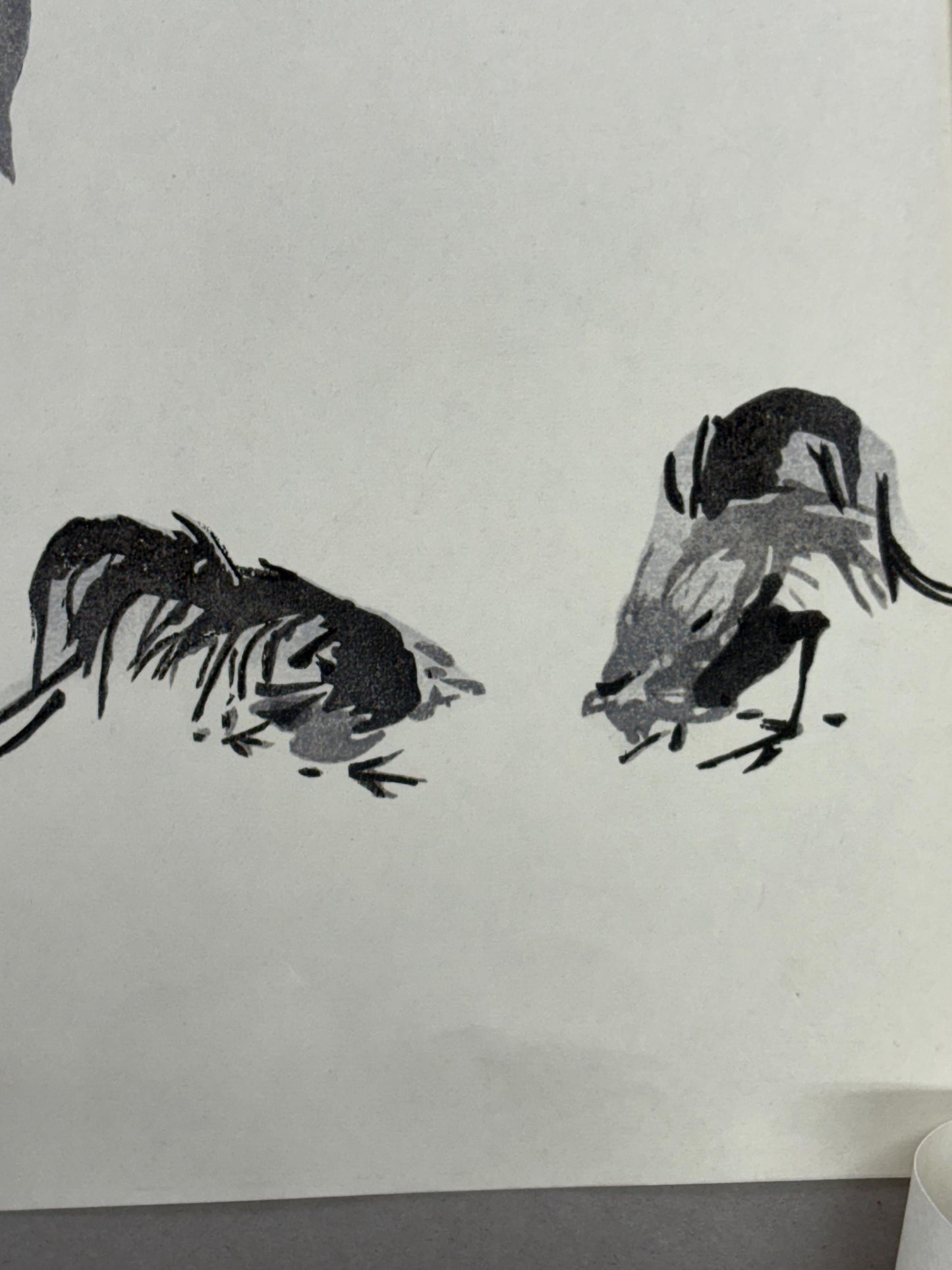 Japanese ink painting, woodcut print, Niten Miyamoto,Large size.