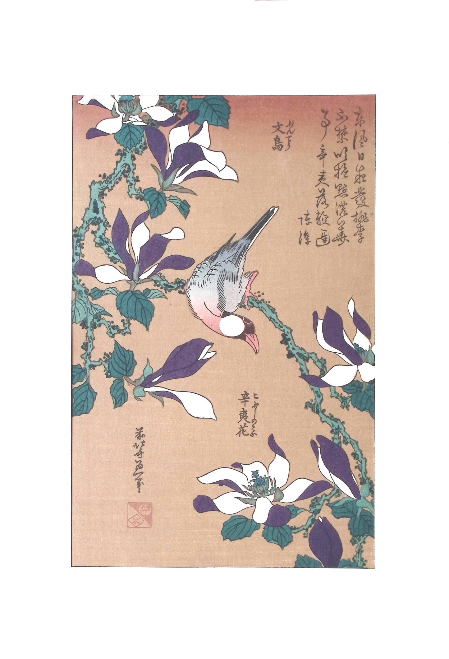 Japanese Ukiyo-e, Woodcut print, Hokusai, "Java Sparrow on Magnolia "