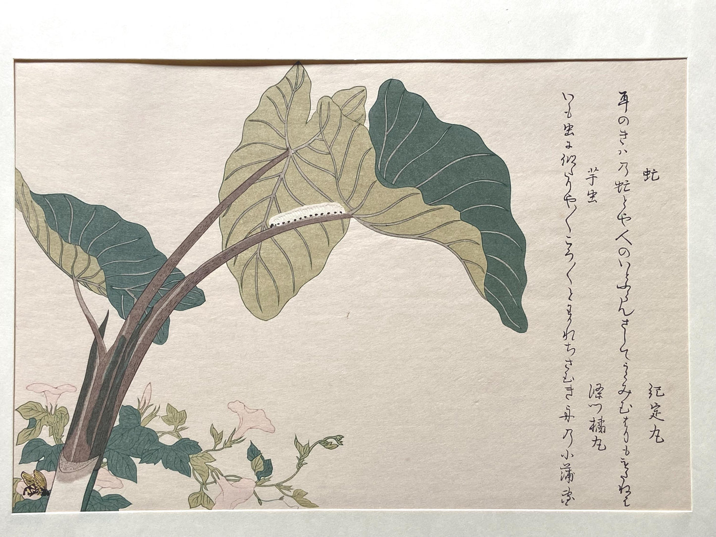 Japanese Ukiyo-e Woodblock print, Utamaro, "Green Caterpillar (Imomushi) and Horsefly (Abu)"