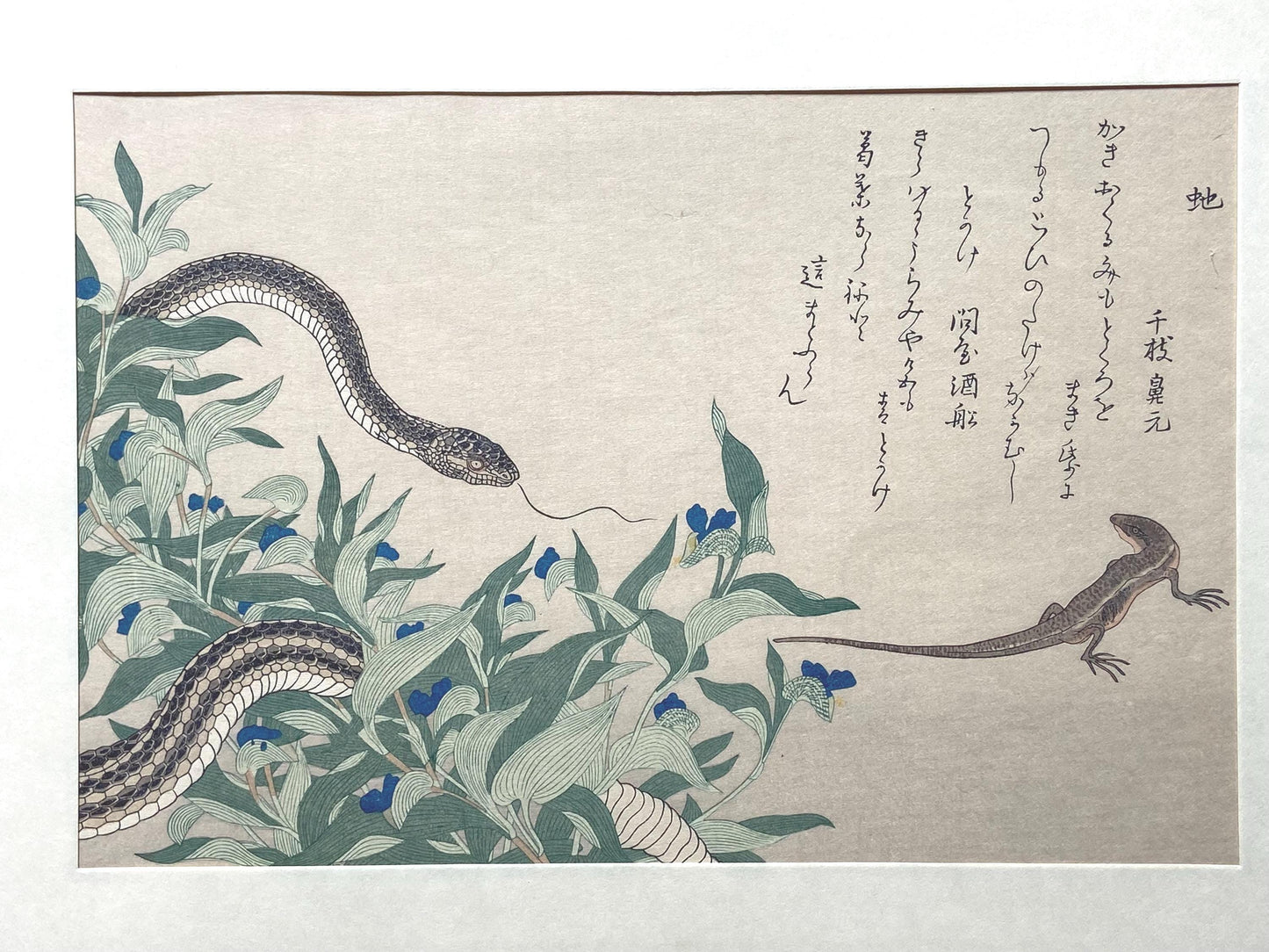 Japanese Ukiyo-e Woodblock print, Utamaro, "Skink (Tokage) and Rat Snake (Hebi)"