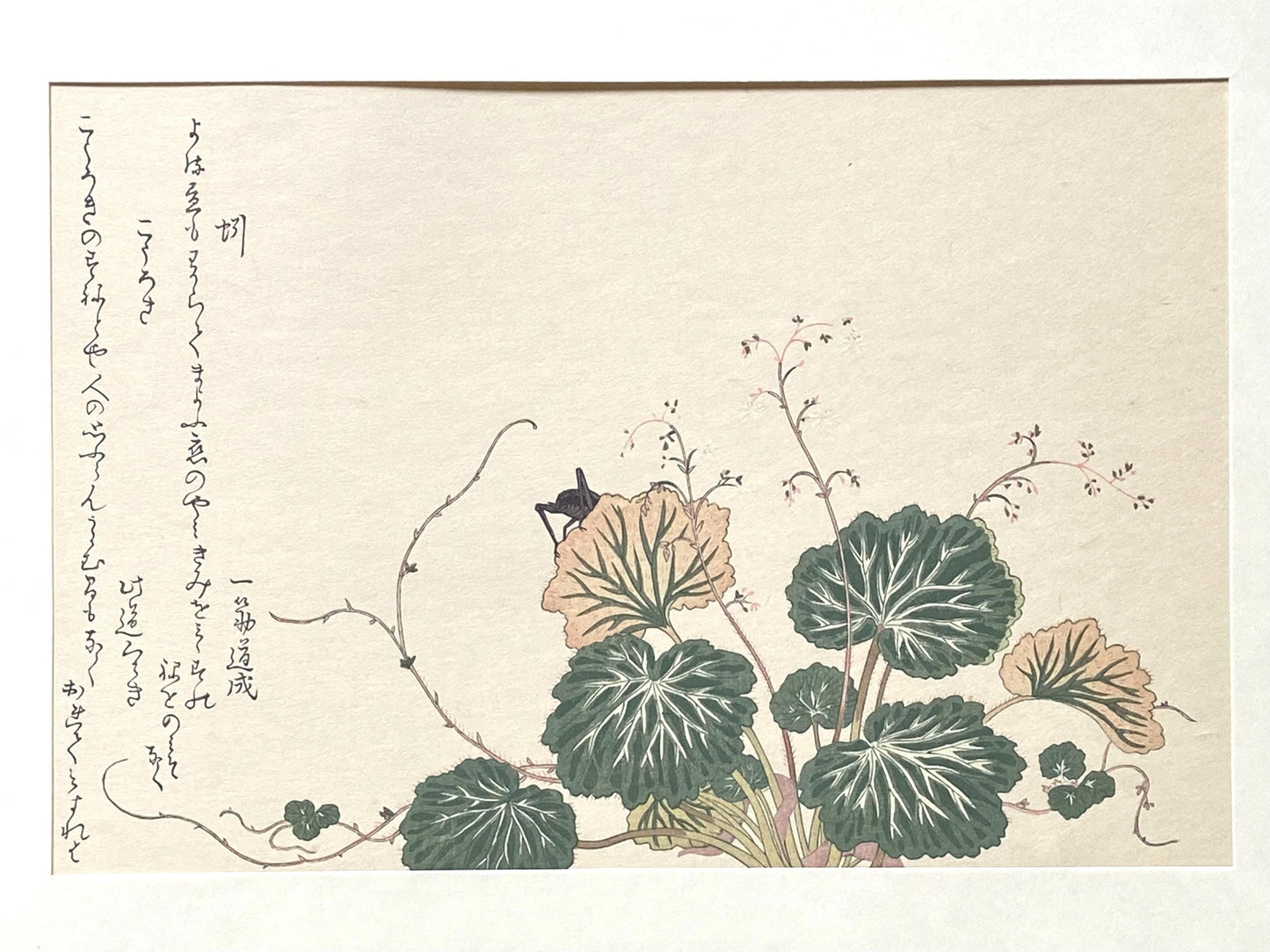 Japanese Ukiyoe, woodcut print, Utamaro, "Cricket (Kôrogi) and Earthworm (Mimizu)"