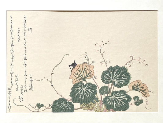 Japanese Ukiyoe, woodcut print, Utamaro, "Cricket (Kôrogi) and Earthworm (Mimizu)"