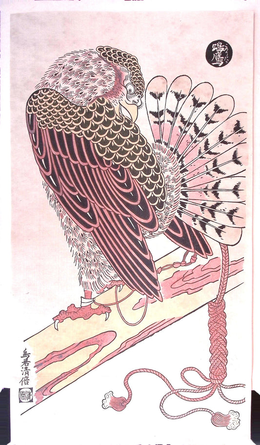 Japanese Ukiyoe, woodcut print, Torii Kiyomasu, "A Male Hawk"