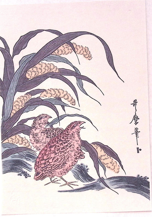 Japanese Ukiyoe, woodcut print, Utamaro, "millet and quail"
