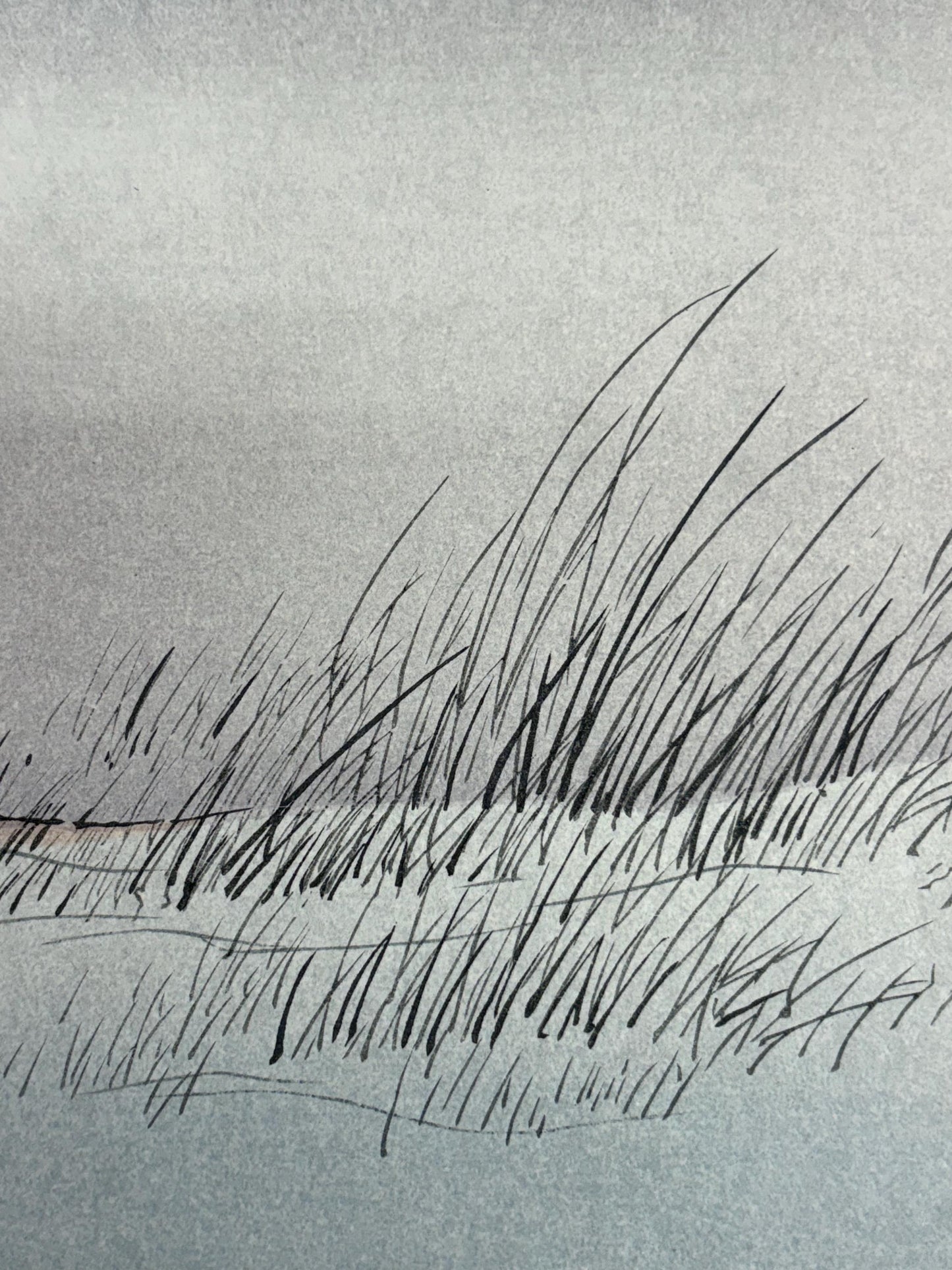 Josetsu,Large size. Japanese woodblock print. Ink painting.