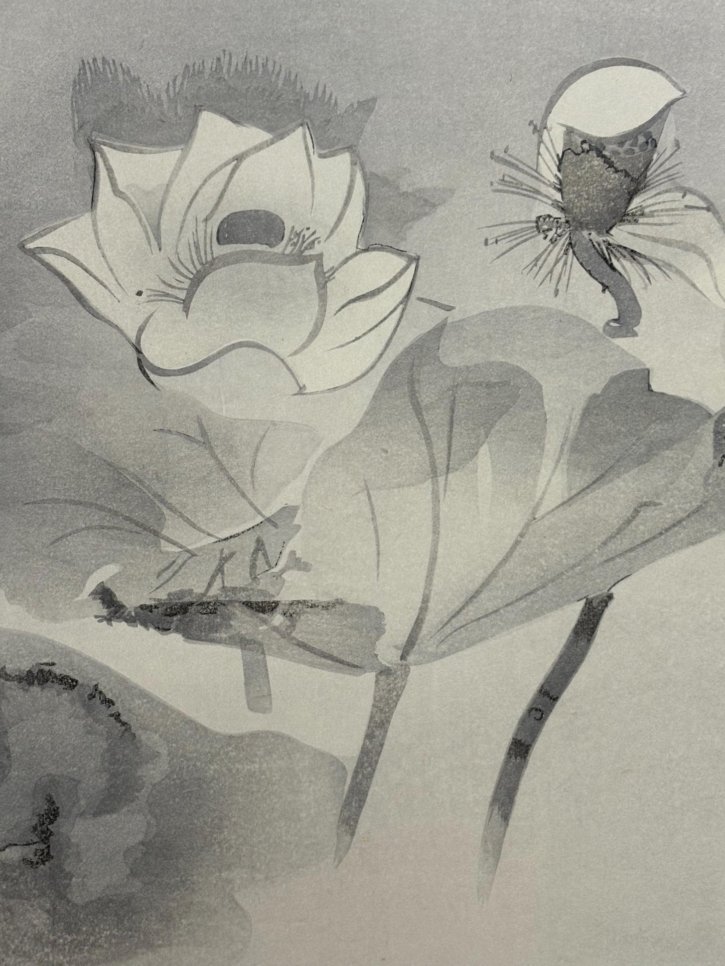 Tawaraya Sotatsu, "Waterfowls in Lotus Pond", Large size. Japanese woodblock print. Ink painting.