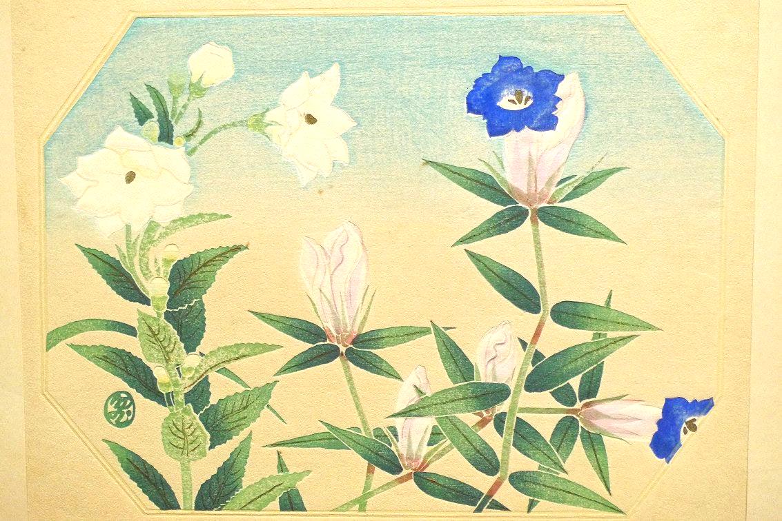 1932, Ukiyoe, Original Sōsaku-hanga, Woodblock print, Tobei Kamei, "Balloonflower"