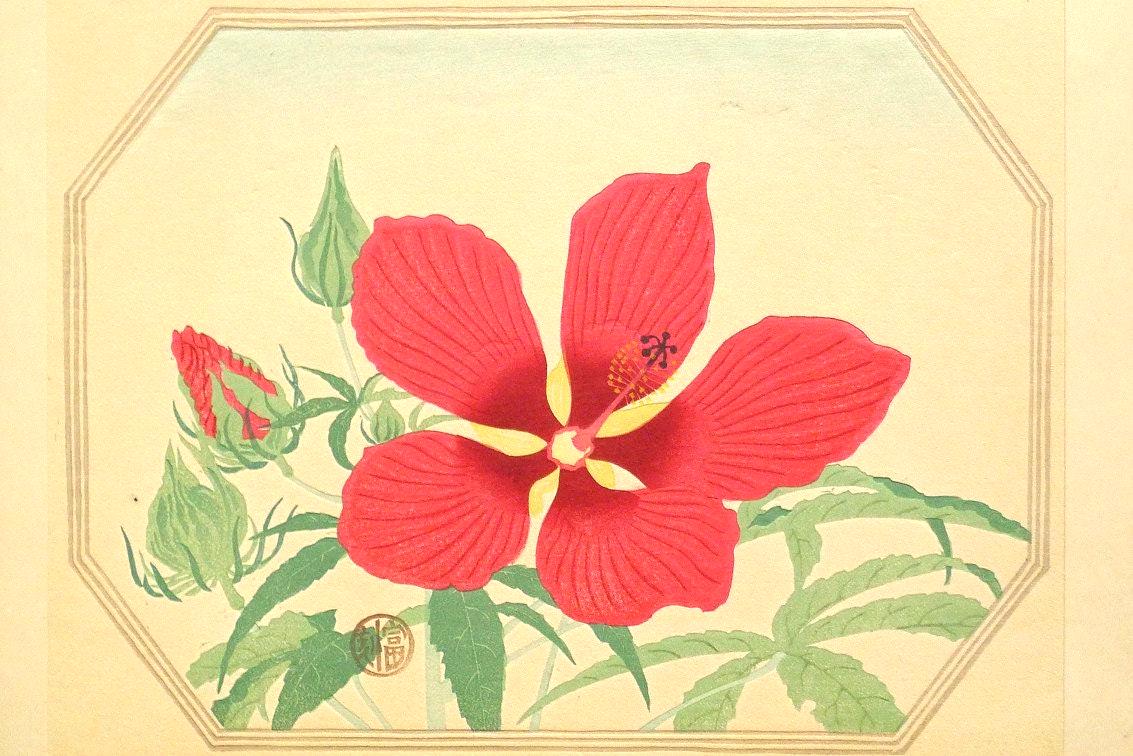 1932, Ukiyoe, Original Sōsaku-hanga, Woodblock print, Tomikichiro Tokuriki, "Hibiscus coccineus"